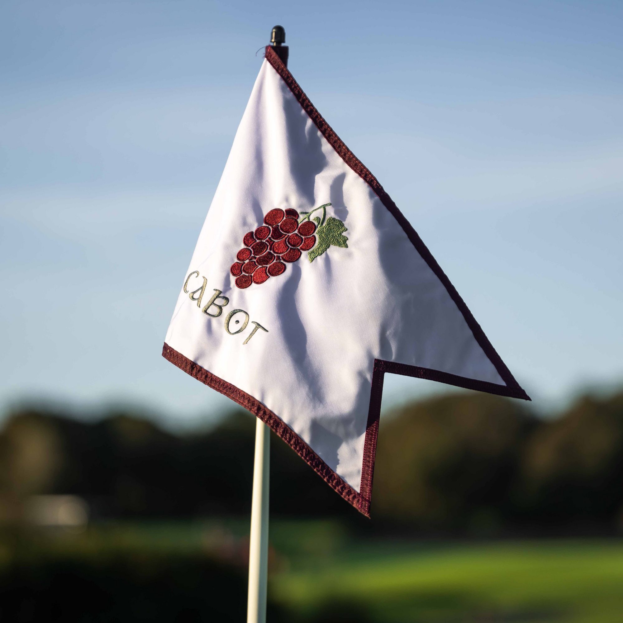 Drapeau du parcours des raisins de Bordeaux Cabot